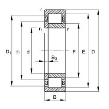 Original SKF Cylindrical Roller Bearings NUP203-E-TVP2 FAG