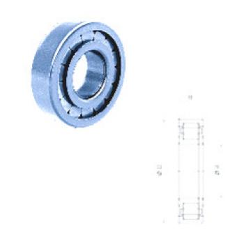 Original SKF Cylindrical Roller Bearings NUP209FM Fersa