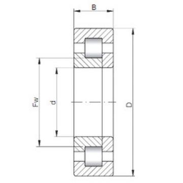 Original SKF Cylindrical Roller Bearings NUP10/500 CX