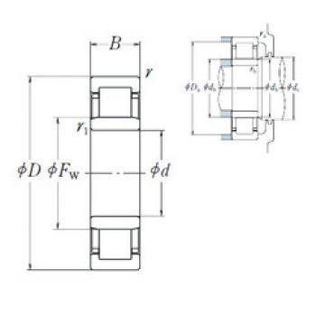 Original SKF Cylindrical Roller Bearings NU 204 ET NSK