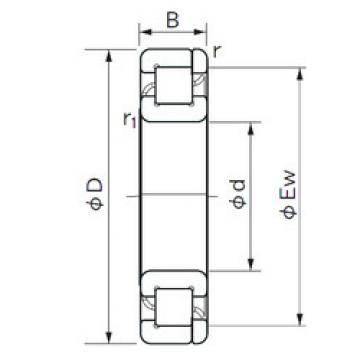 Original SKF Cylindrical Roller Bearings NP 1005 NACHI