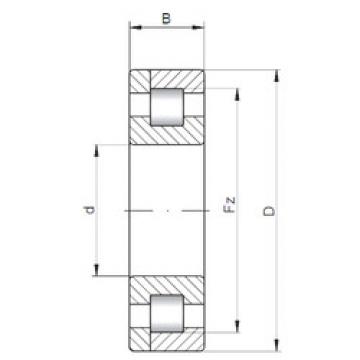 Original SKF Cylindrical Roller Bearings NP10/560 ISO