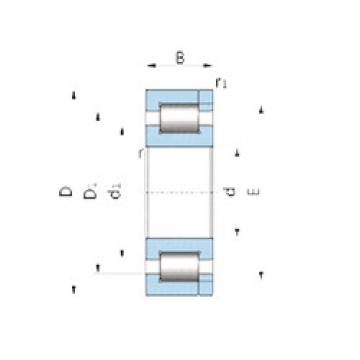 Original SKF Cylindrical Roller Bearings NP.40211.H100 SNR