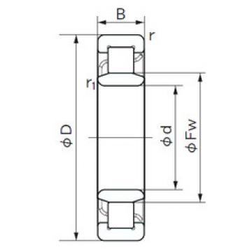 Original SKF Cylindrical Roller Bearings NU 1005 NACHI