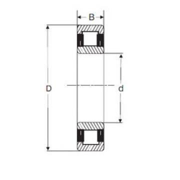 Original SKF Cylindrical Roller Bearings NU 206 SIGMA