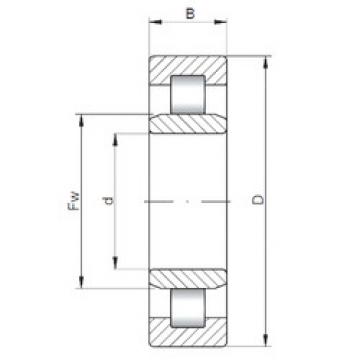 Original SKF Cylindrical Roller Bearings NU1024 CX