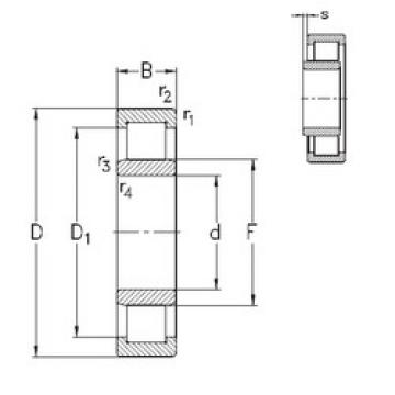 Original SKF Cylindrical Roller Bearings NU224-E-MPA NKE