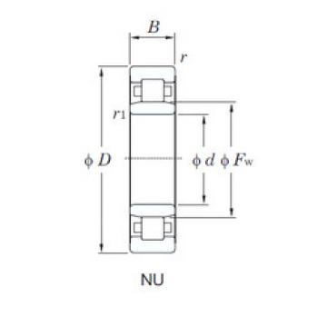 Original SKF Cylindrical Roller Bearings NU1005 KOYO