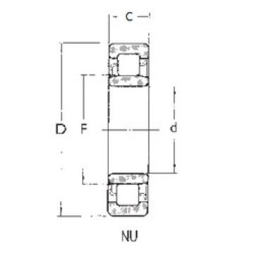 Original SKF Cylindrical Roller Bearings NU1006 FBJ