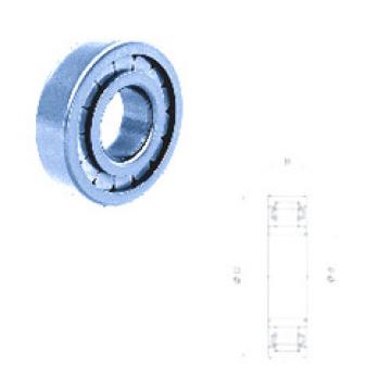 Original SKF Cylindrical Roller Bearings NU1011FM Fersa