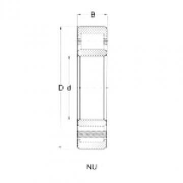 Original SKF Cylindrical Roller Bearings NU204 CRAFT