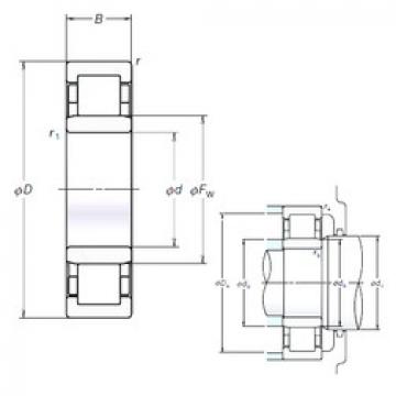 Original SKF Cylindrical Roller Bearings NU205EM NSK