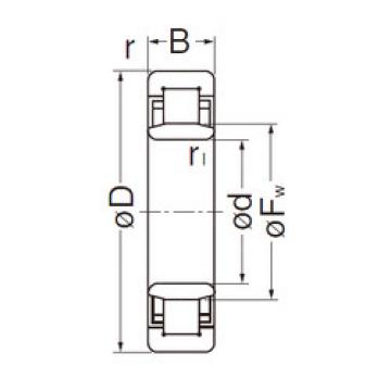 Original SKF Cylindrical Roller Bearings NU205EG NACHI