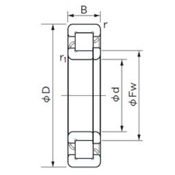 Original SKF Cylindrical Roller Bearings NUP 10/500 NACHI