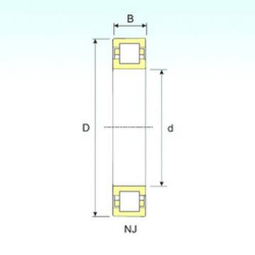 Original SKF Cylindrical Roller Bearings NUP 203 ISB