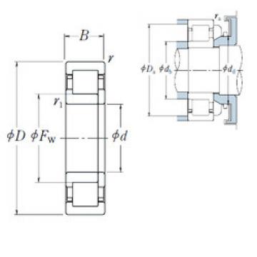 Original SKF Cylindrical Roller Bearings NUP 204 ET NSK