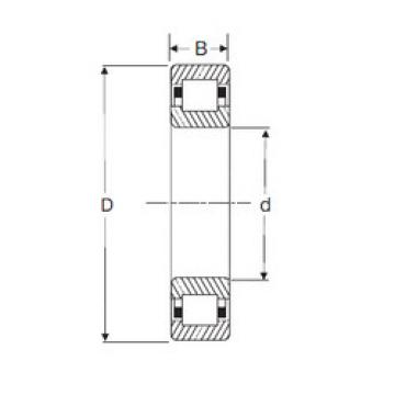 Original SKF Cylindrical Roller Bearings NUP 205 SIGMA