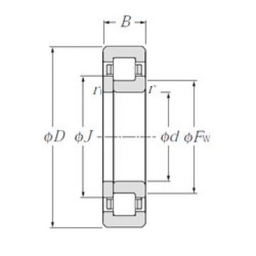 Original SKF Cylindrical Roller Bearings NUP1005 NTN