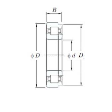 Original SKF Cylindrical Roller Bearings NUP1006 KOYO