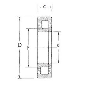 Original SKF Cylindrical Roller Bearings NUP204 FBJ