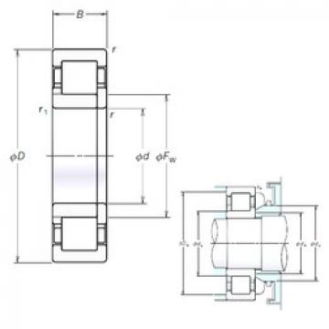 Original SKF Cylindrical Roller Bearings NUP206EM NSK