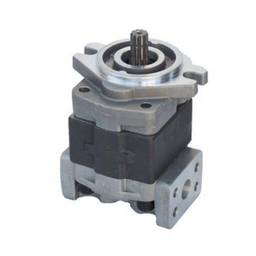 Commercial DP206-20 Hydraulic Gear Pump Hydraulic Gear Pump Gear Oil Pump SGP1