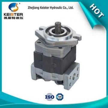 Oil Transfer Gear Pump Hydraulic Gear Pump Gear Oil Pump SGP1