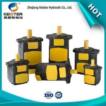 chinese DVLB-3V-20 products wholesale micro hydraulic pump