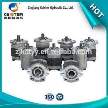 Professional DP-210           stainless steel lubrication hydraulic gear pump gear oil pump