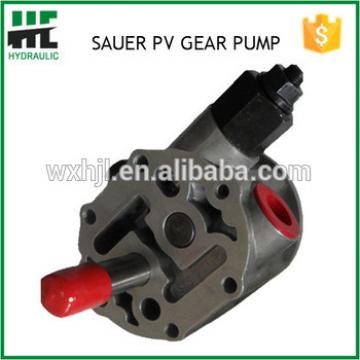 Sauer Pumps PV20 21 22 23 24 Series Gear Pumps Made In China