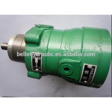 One year warranty for 160CY-1B axial piston pump made in China