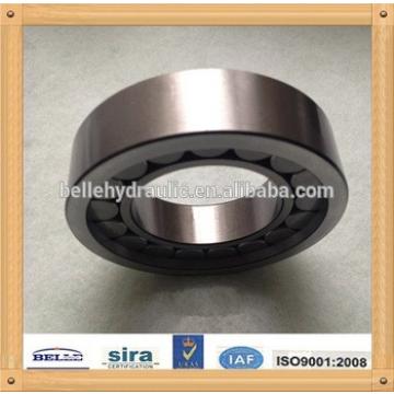 Bearing F-207813 for A11VO190 pump Factory price