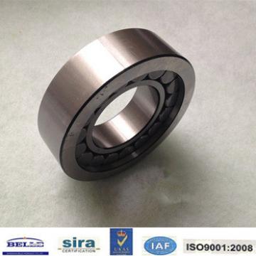 Bearing F-201380 for A4V125 pump Large stocks and Fast delivery