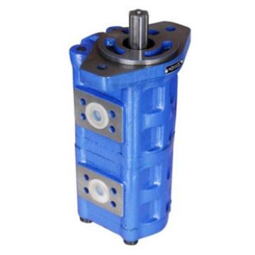 CBGj hydraulic Double gear pump Max Displacement:50ml/r die casting