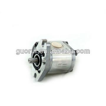 2 GROUP hydraulic gear motor