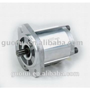 Hydraulic gear motor