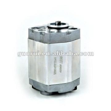 Small Gear Pump