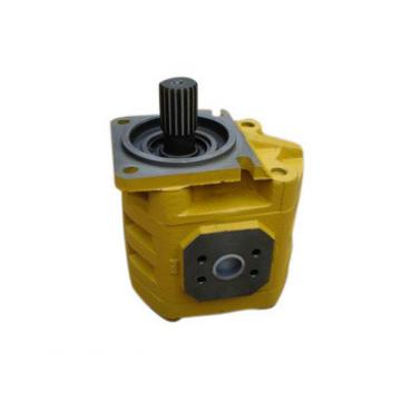 CBGj3 Displacement 125 SeriesHydraulic cast iron gear pump