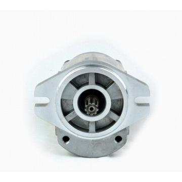 hydraulic gear motor pump with outboard bearing