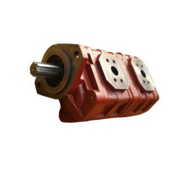 CBGj Hydraulic cast iron gear pump Displacement:100ml/r