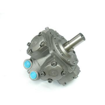 axial piston hydraulic motor