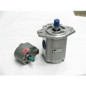 hydraulic double gear pump hydraulic pump