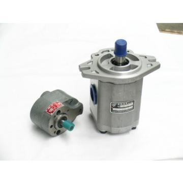 hydraulic gear pumps