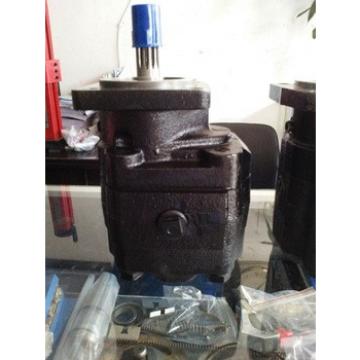 hydraulic gerotor motor