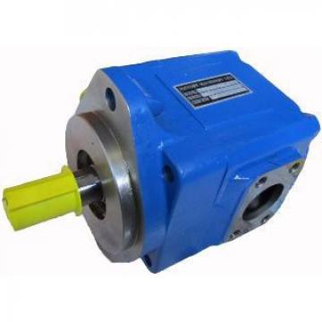 Single Double Triple T6C T6D T6B T7D T6E T7E, T6CC, T6ED, T6EC, T6DC, T6DCC, T6EDC, T6DDC of T6 Denison Vane Pump