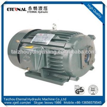 VP hydraulic electric motor for hydraulic system