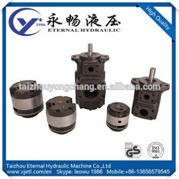 ETERNAL T6CC DC EC ED double hydraulic oil pump for marine machinery