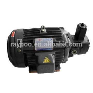 Vane pump motor group