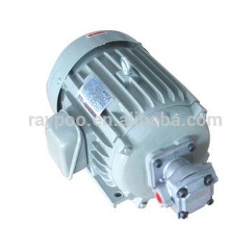 Gear pump motor group