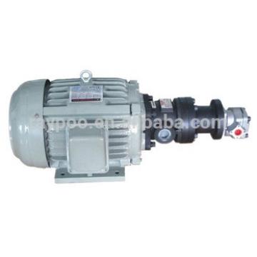 Combination of high and low pressure pump motor group